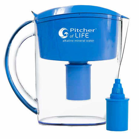 Pitcher of Life 1 Filter