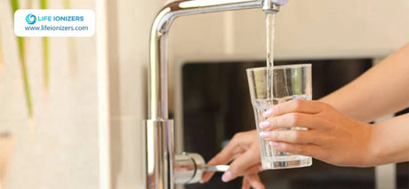 How the Dolphin Whole House Filter Transforms Your Water