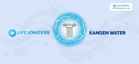 Kangen vs. Life Ionizers: Basic Built-In Filter vs. Custom Pre-Filtration Compared