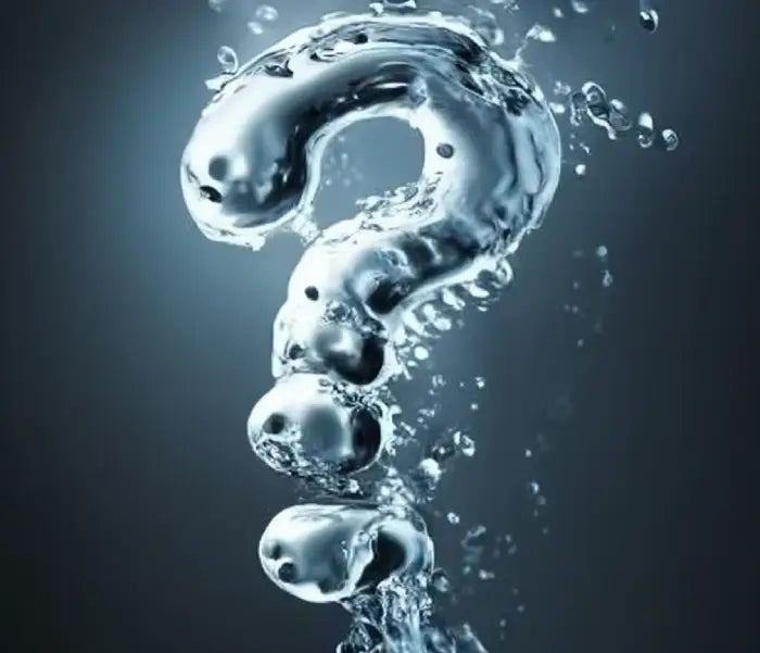 Is Kangen Water Worth the Price