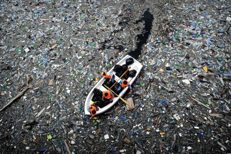 Microplastics Revealed