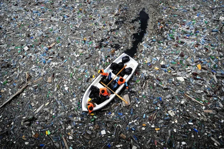 Microplastics Revealed