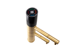 Life Ionizer Series Faucet Conversion Kit (Gold)