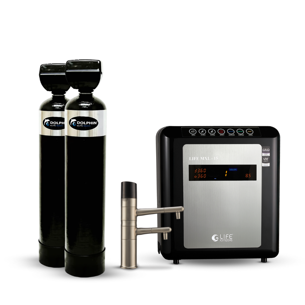 MXL 15 Under Counter Double Dolphin Whole House Water Filter 01