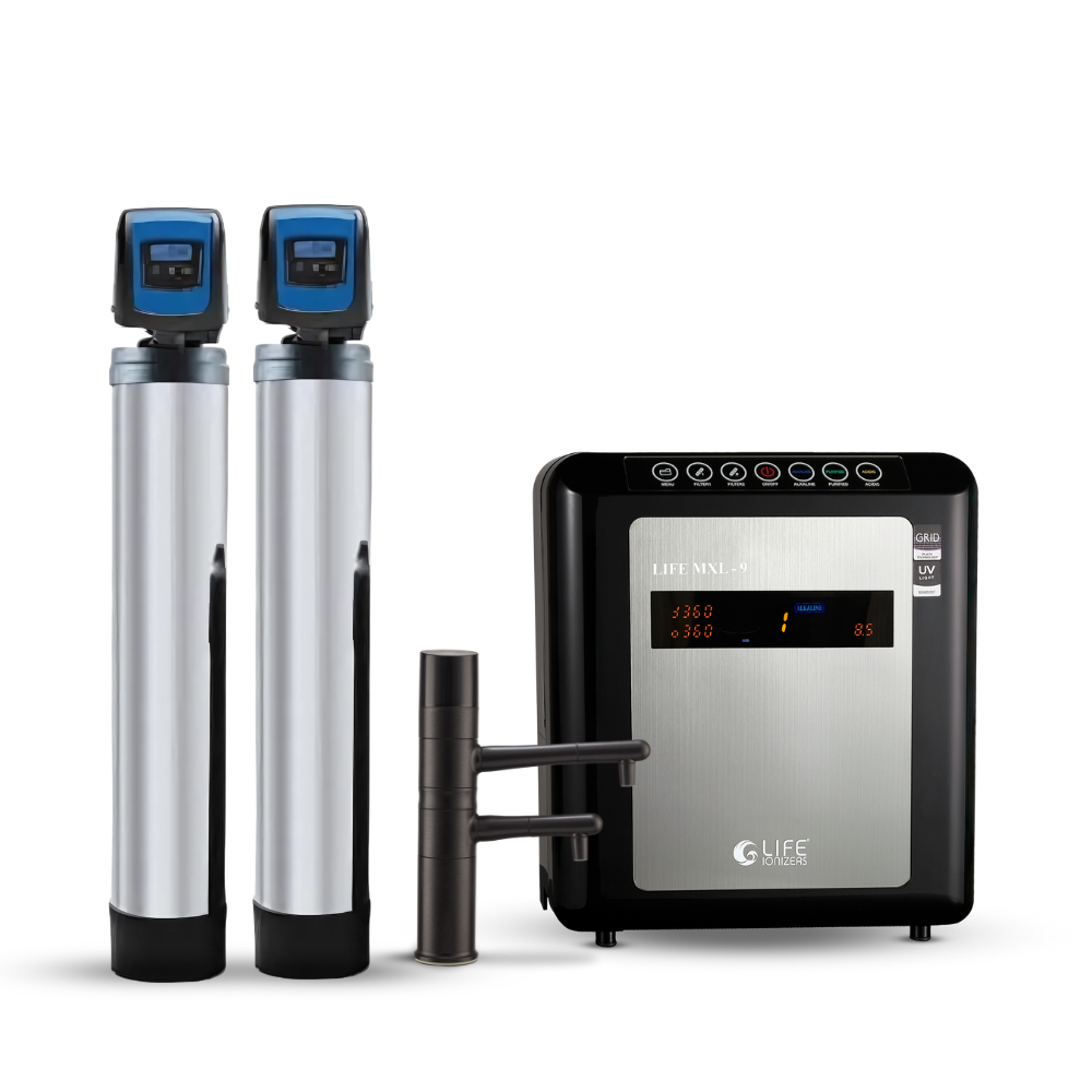 MXL 9 Undercounter with Double Dolphin Whole House Filter 02