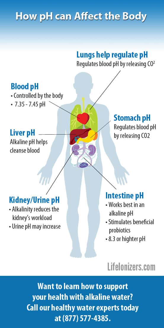 How Body PH Is Affected By Alkaline Water Life Ionizers